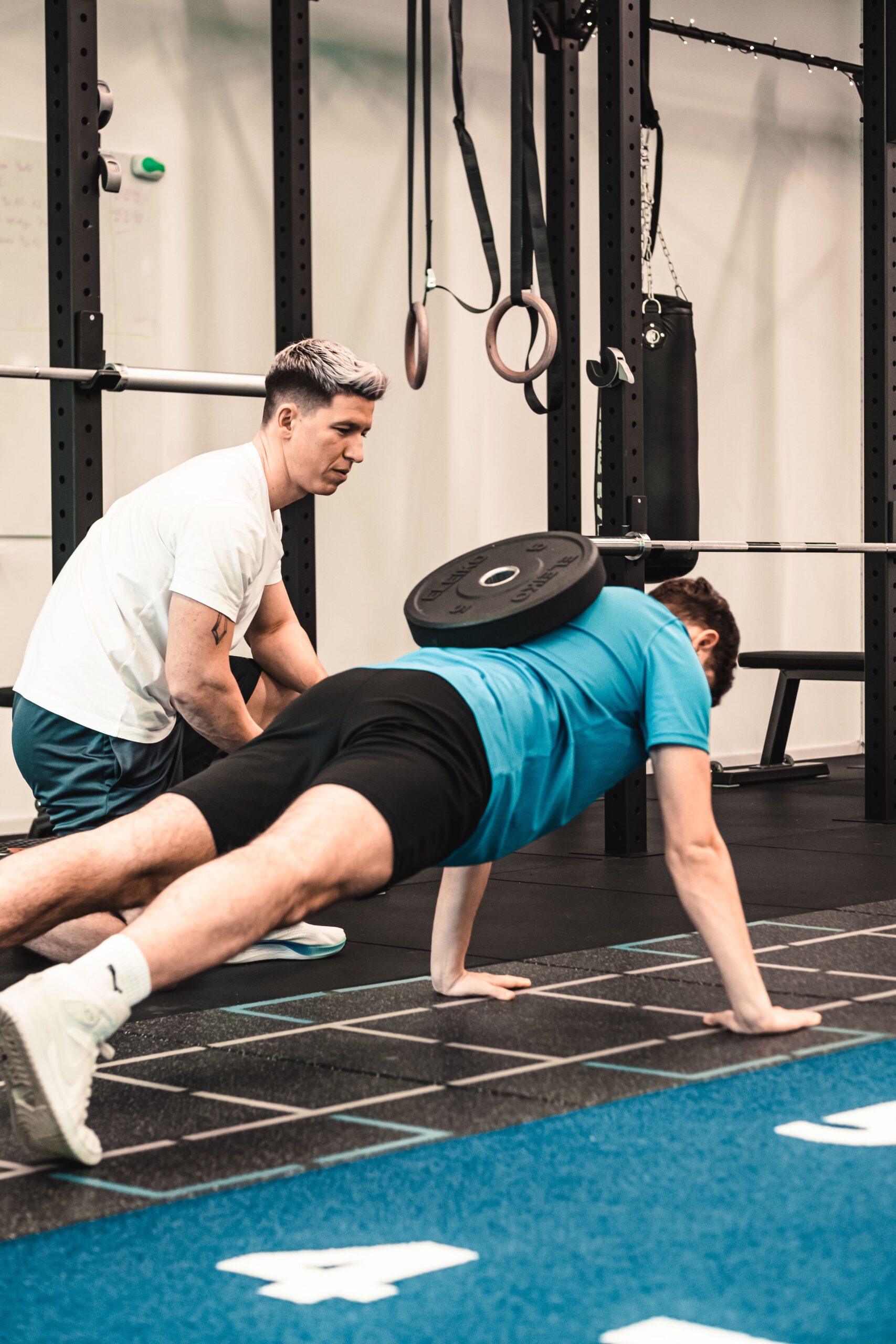 Patientenverwaltung & Trainingsplanung auch über das Webportal Arbeite flexibel am Desktop: